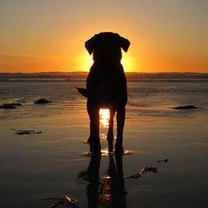 Meet your Posher, Tim